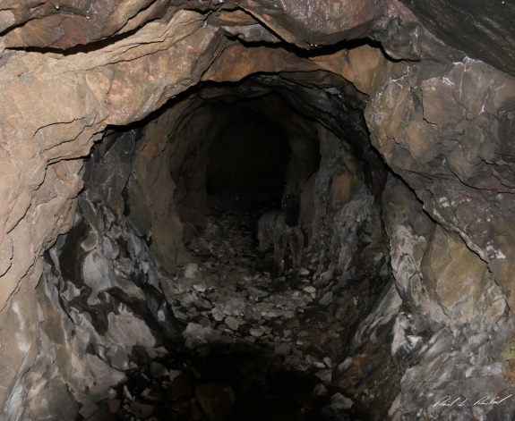 inside beaton cave